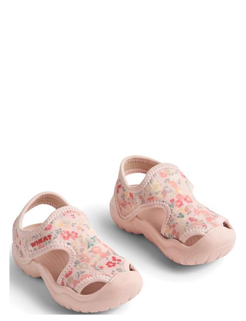 Wheat | Sandal Bani | 31