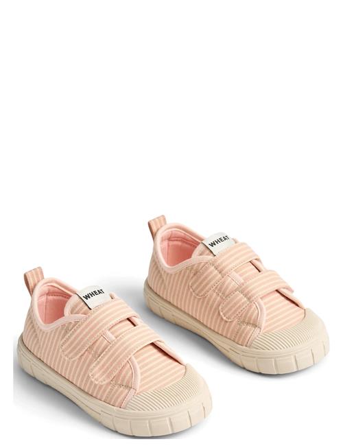 Wheat | Sneaker Bobbie | 32