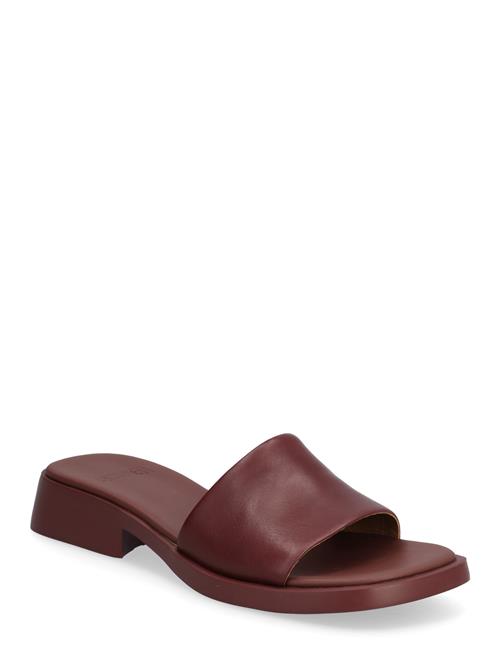 Camper | Dana | 36