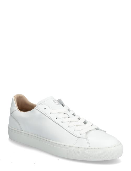 Sneaky Steve | Grand White | 46