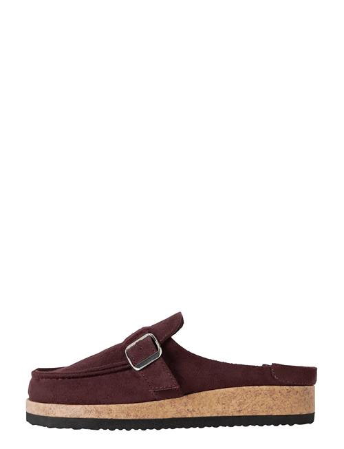 name it | Nknjavery Mules | 31