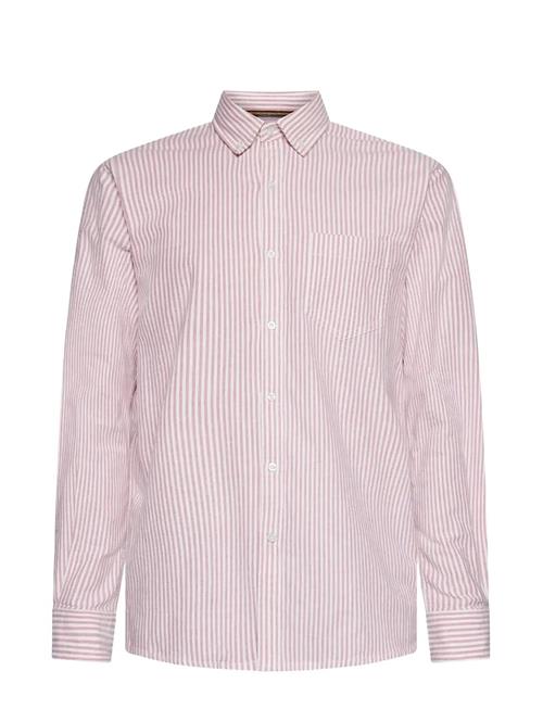 SIGNAL | Scottsi Oxford + | XXXL