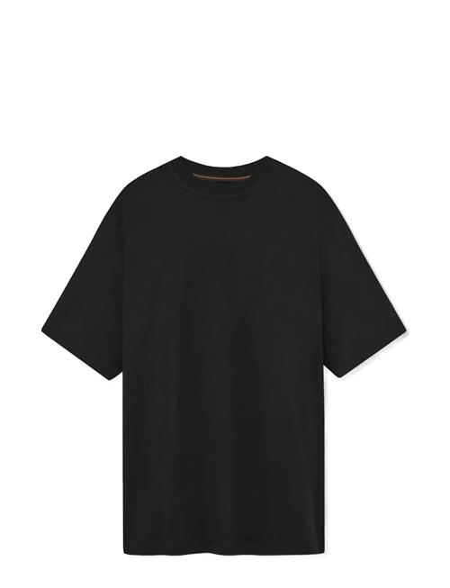SIGNAL | Eddysi | XXXXL