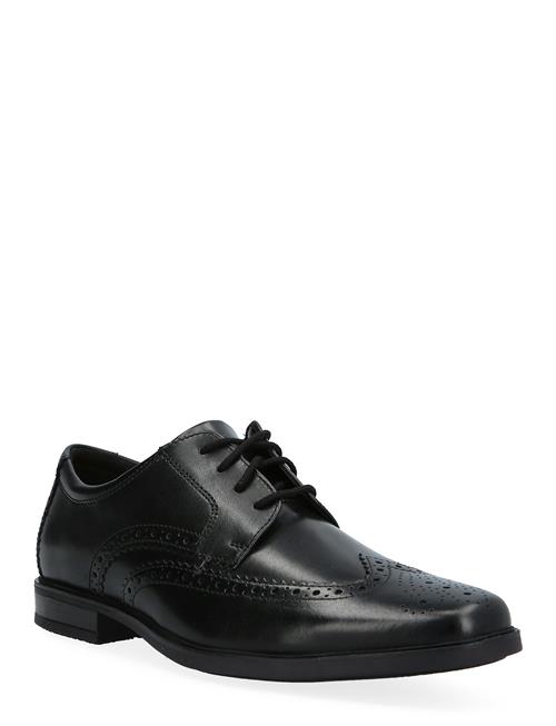 Clarks | Howard Wing G | 42