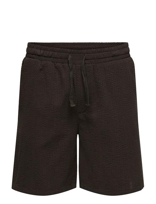 ONLY & SONS | Onscruz Seersucker Jogger Shorts | M
