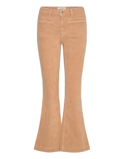 Pieszak | Pd-Cara Jeans 70'S Excl. Corduroy | 25 x 32