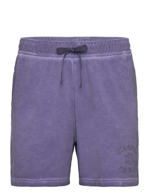 Champion | Shorts | XS