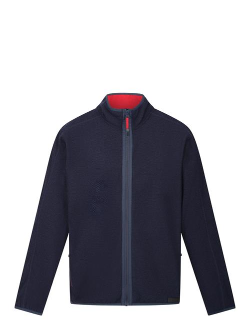 Regatta | Kinwood / Kinwood | 60