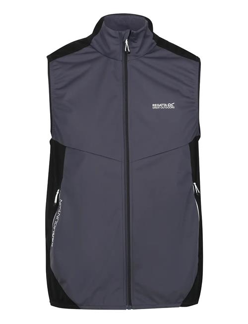 Regatta | Lankin Iv / Lankin Iv | L