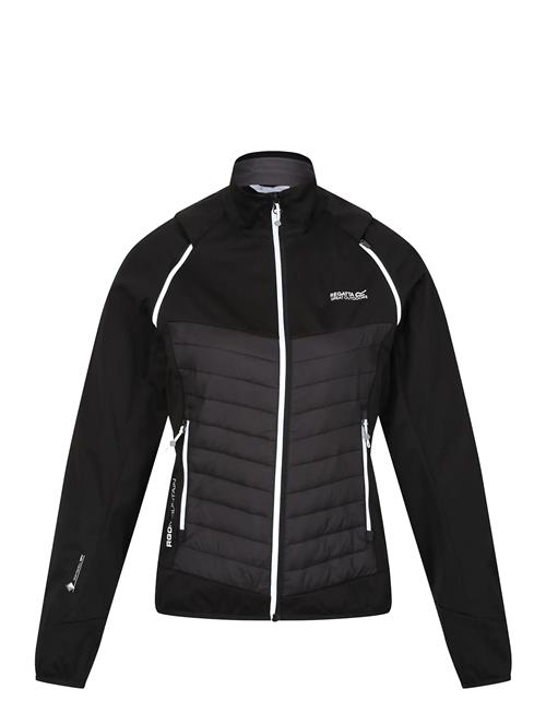 Regatta | Wmn Steren Hybrid / Wmn Steren Hybrid | 12 L