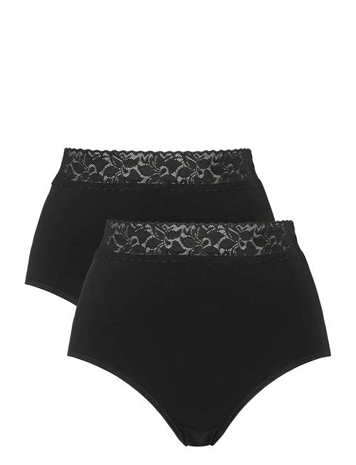 Damella of Sweden | 2-Pack Maxi Brief | L