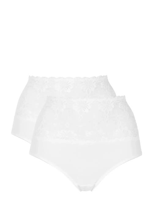 Damella of Sweden | 2-Pack Maxi Brief | L