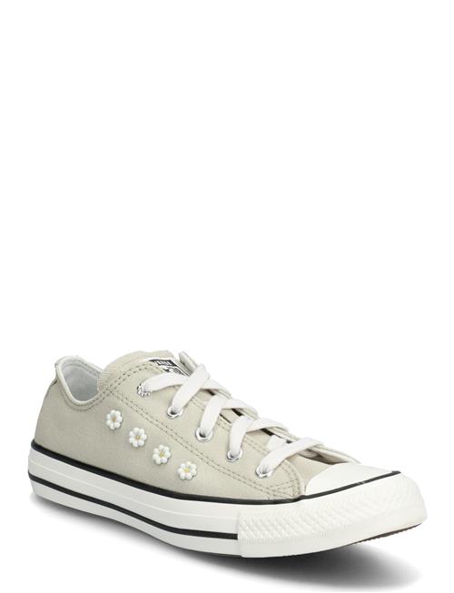 Converse | Ctas Ox Sage Smoke/Vintage White/Black | 37