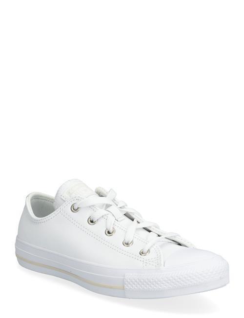 Converse | Ctas Ox White/White/Lt Orewood Brn | 36