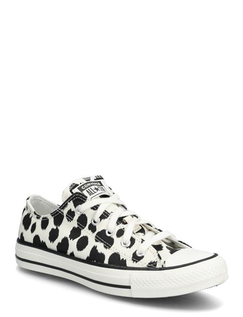 Converse | Ctas Ox Egret/Black/Vintage White | 38