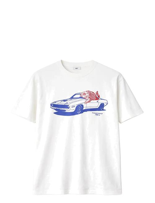 A QUESTION OF | Tee Carfish | XL