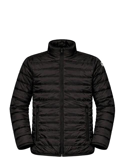 A QUESTION OF | Benn Light Down High Neck Jacket | XL