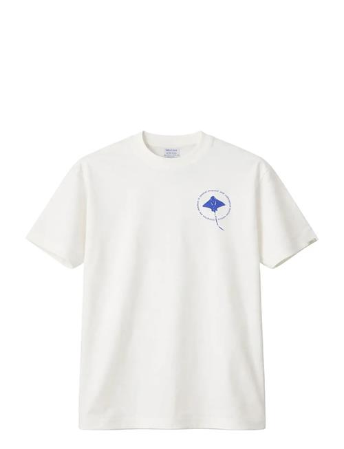 Legends | Bruce Stingray Tee | M