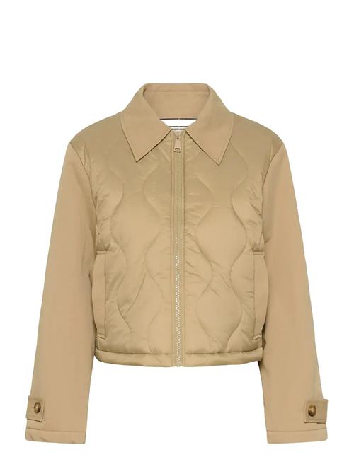 Saint Tropez | Odinasz Jacket | L