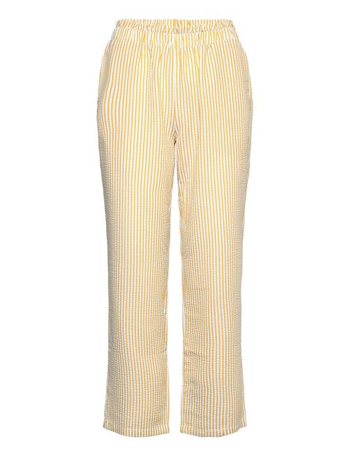 A-View | Salvador Pant | 36