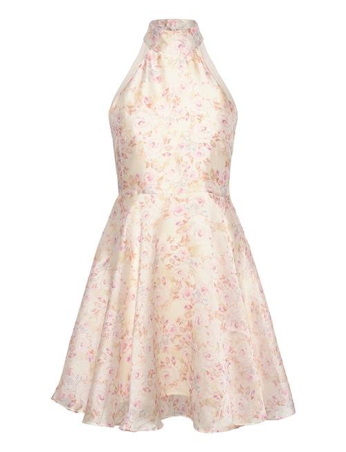 Love Lolina | Lupita Mini Dress | XL