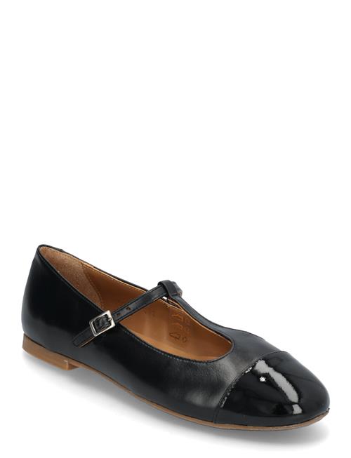 ANGULUS | Ballerina | 39.5
