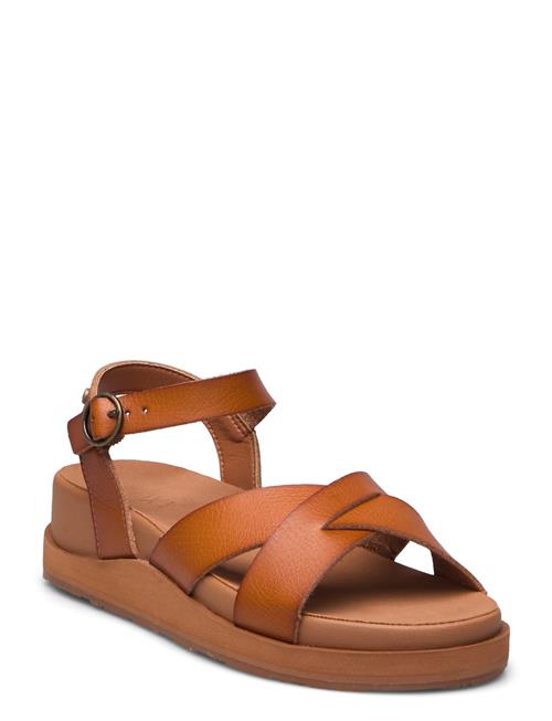 Roxy | Kamila | 40