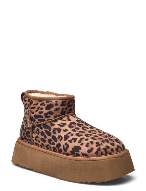 Steve Madden | Campfire Bootie | 38