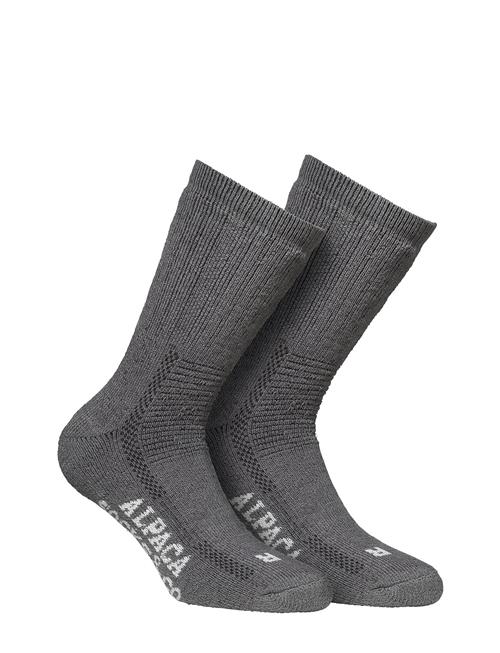 Alpacasocks&Co | Alpacasocks 2-Pack | 39-42