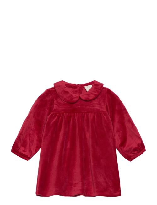 Lindex | Dress Velour | 68