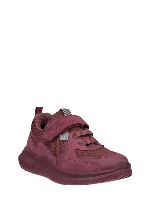ECCO | Biom 2.2 K | 30