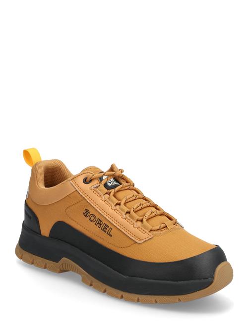 Sorel | Outing Nw Sneaker Low Wp | 44