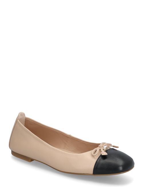 UNISA | Belle_25_Nto | 36