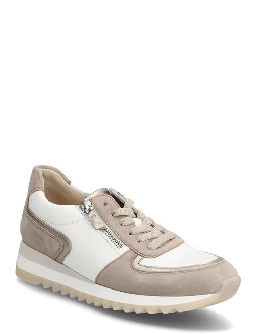 Gabor | Sneaker | 40.5