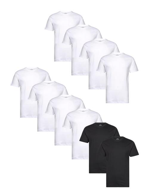 Denim Project | Dp 10 Pack T-Shirt | L