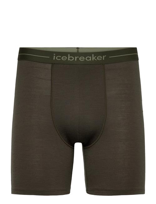 Icebreaker | M Anatomica Long Boxers | XL