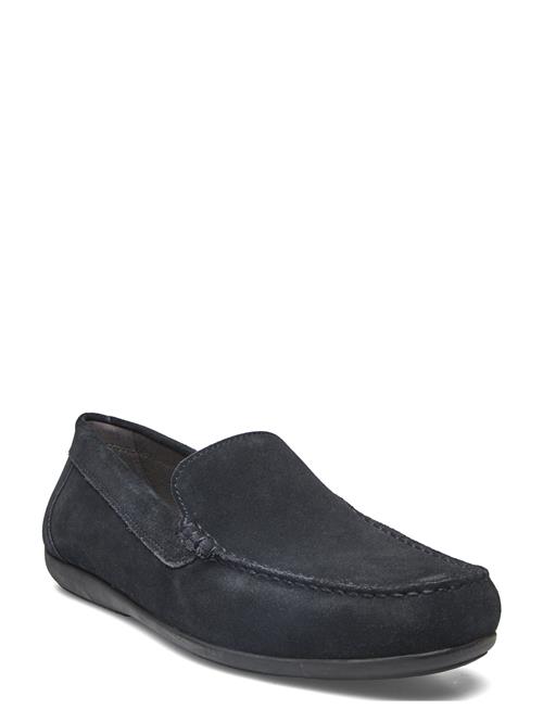 GEOX | U Ascanio B | 41