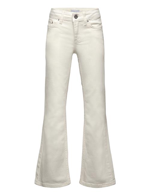 Grunt | Texas Broken White Bottoms | 176