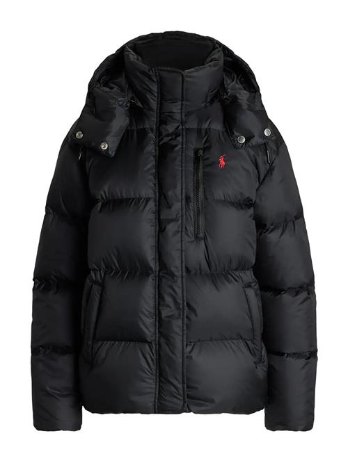 Polo Ralph Lauren | Nylon Taffeta-Ins-Coa | L