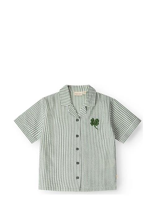 That's Mine | Ino Shirt | 116CM/6Y