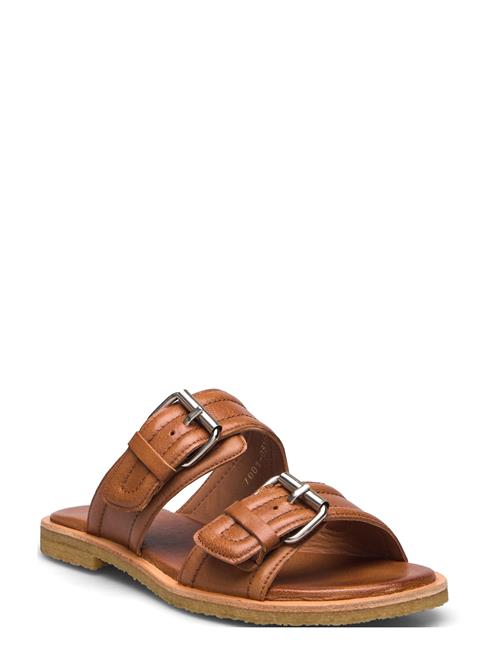 Billi Bi | Trotter | 39