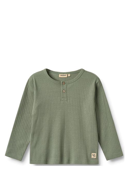 Wheat | T-Shirt L/S Morris | 116