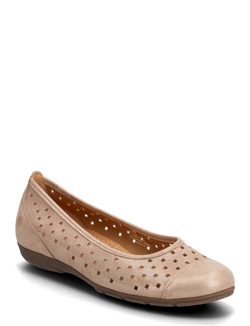 Gabor | Ballerina | 38