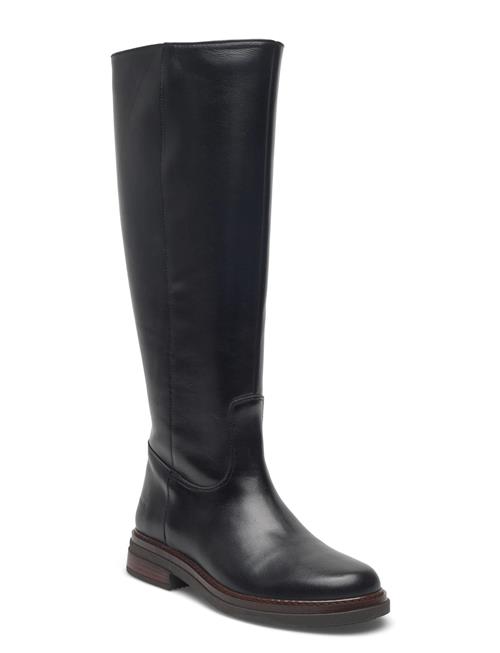 ANGULUS | Booties - Flat - With Zipper | 38