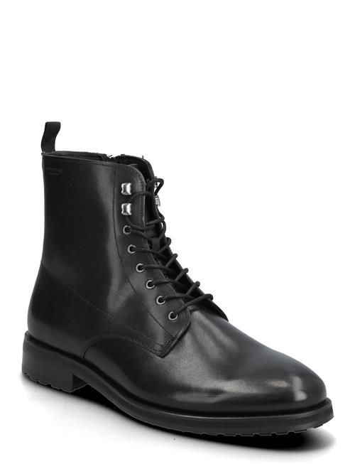 VAGABOND | Brian | 42