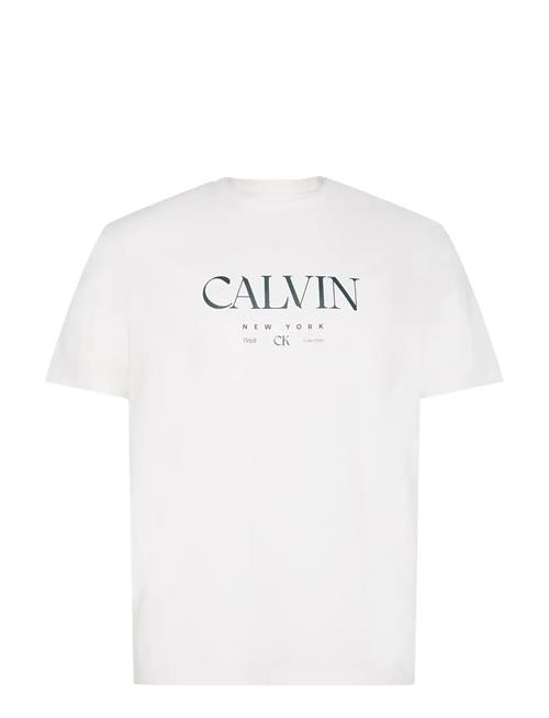 Calvin Klein | Ss 20S Ln Calvin Graphic Tee | M