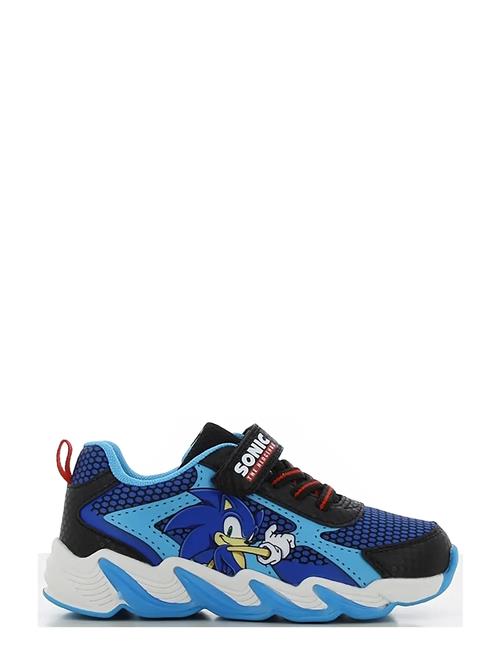 Leomil | Sonic Sneaker | 29