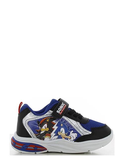 Leomil | Sonic Sneaker | 30