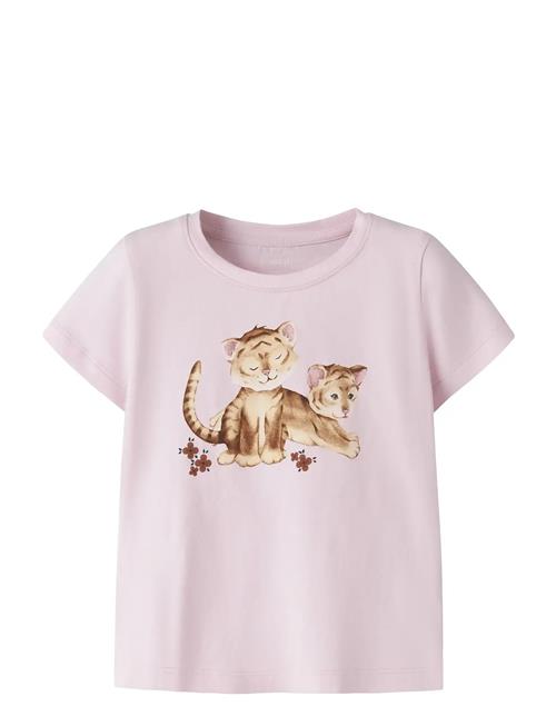 name it | Nmfherta Ss Top Box | 110