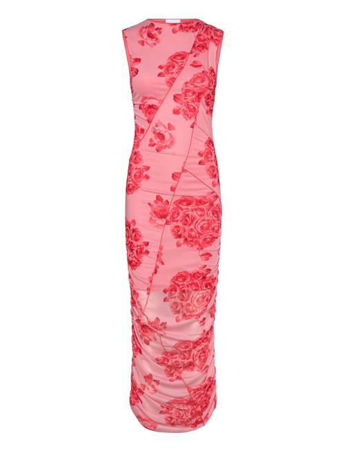 Noella | Sutton Dress | XXL